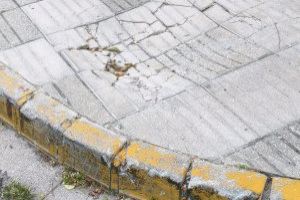 El PP de Alzira denuncia "caos" en el mantenimiento urbano y exige actuaciones inmediatas ante el deterioro de la vía pública - (foto 7)