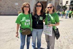 El profesorado lleva a las calles de Burriana su lucha por una educación pública de calidad - (foto 13)