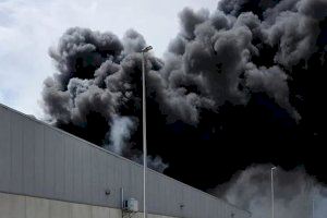 Un incendio en una empresa de tratamiento de almendras levanta una gran columna de humo en la Vall d'Alba - (foto 4)