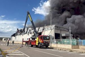 Un incendio en una empresa de tratamiento de almendras levanta una gran columna de humo en la Vall d'Alba - (foto 3)