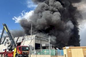 Un incendio en una empresa de tratamiento de almendras levanta una gran columna de humo en la Vall d'Alba - (foto 2)