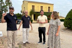 Sueca se une de nuevo al Consorci de la Ribera en la lucha contra las plagas de mosca negra Sueca se une de nuevo al Consorci de la Ribera en la lucha contra las plagas de mosca negra