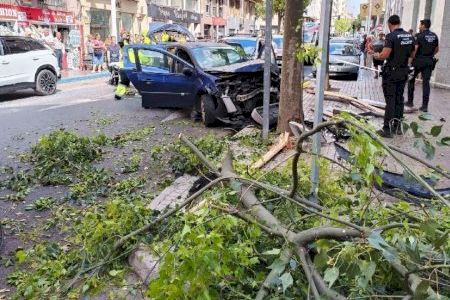 Una rama cae sobre un vehículo en Elche y deja atrapadas a dos personas