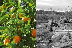 Sagunto retoma la campaña de concienciación ciudadana para frenar el vertido de escombros en espacios naturales Sagunto retoma la campaña de concienciación ciudadana para frenar el vertido de escombros en espacios naturales