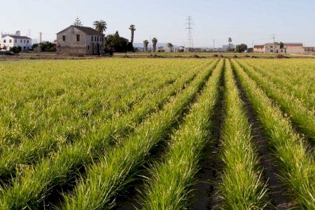 La Diputació aprova altres 12 milions del Pla Obert per a impulsar 62 noves actuacions en 47 municipis de la província La Diputació aprova altres 12 milions del Pla Obert per a impulsar 62 noves actuacions en 47 municipis de la província