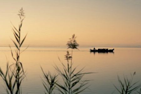 València avanza en la candidatura de L’Albufera como Reserva de la Biosfera tras el aval del Consejo Científico de la UNESCO València avanza en la candidatura de L’Albufera como Reserva de la Biosfera tras el aval del Consejo Científico de la UNESCO