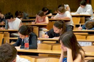 Un 76,8 % de los alumnos presentados han superado las Pruebas de Acceso a la Universidad realizadas en la UMH