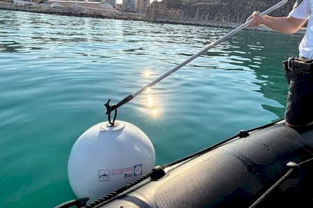 Calp finaliza la instalación de los fondeos ecológicos que evitarán que las embarcaciones dañen la pradera de Posidonia Calp finaliza la instalación de los fondeos ecológicos que evitarán que las embarcaciones dañen la pradera de Posidonia