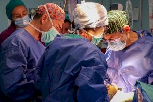 La Fe dispara los trasplantes de riñón de donante vivo y supera en seis meses toda la actividad de 2024 La Fe dispara los trasplantes de riñón de donante vivo y supera en seis meses toda la actividad de 2024