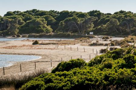 València mantiene cerrado el acceso a la Devesa por peligro de incendio y suspende actividades al aire libre València mantiene cerrado el acceso a la Devesa por peligro de incendio y suspende actividades al aire libre