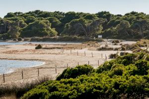 València mantiene cerrado el acceso a la Devesa por peligro de incendio y suspende actividades al aire libre València mantiene cerrado el acceso a la Devesa por peligro de incendio y suspende actividades al aire libre