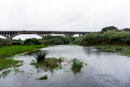 El Consorci del riu Millars reforça la prevenció per a evitar accidents en les zones de major risc del riu El Consorci del riu Millars reforça la prevenció per a evitar accidents en les zones de major risc del riu