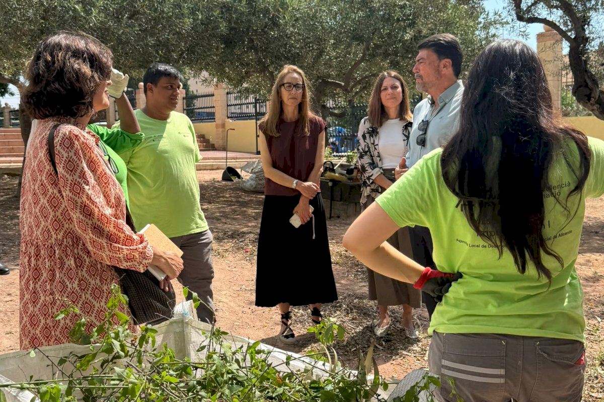 Alicante forma y contrata durante un año a 30 jóvenes en paro