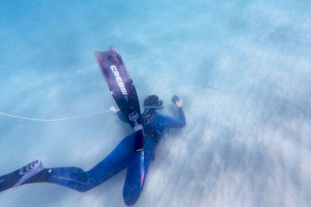 Confirmado: una conocida playa de la Comunitat Valenciana ya es una importante guardería para rayas