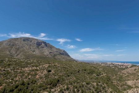 Dénia blinda el Montgó ante el riesgo extremo por las altas temperaturas