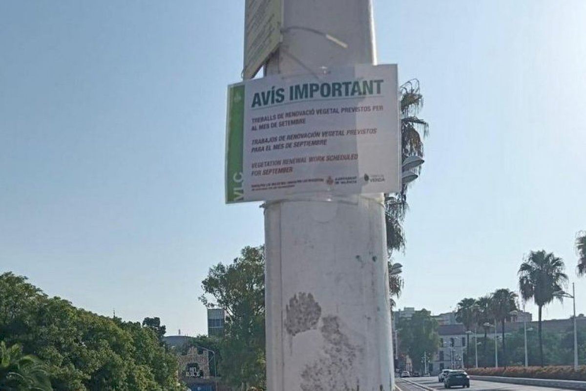 El PSPV critica que el Ayuntamiento sustituirá en septiembre las flores del Puente de las Flores