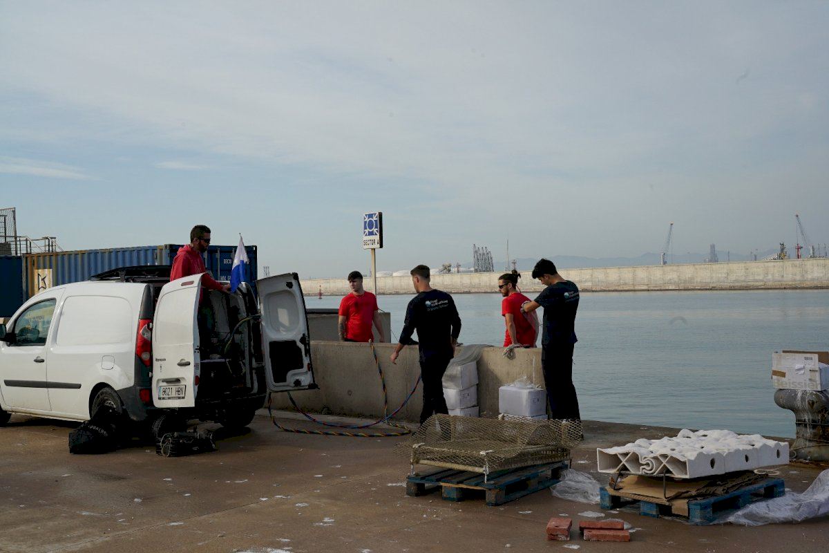PortCastelló impulsa la vida marina en sus aguas