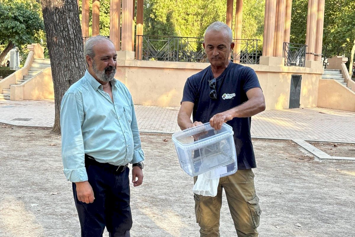 Castellón vuelve a aplicar la Técnica del Insecto Estéril para reforzar la lucha contra el mosquito tigre junto a la Conselleria