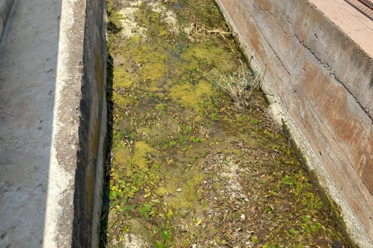 El PSPV reclama al gobierno de Begoña Carrasco que actúe sobre la acequia del Camí la Ratlla de Castelló