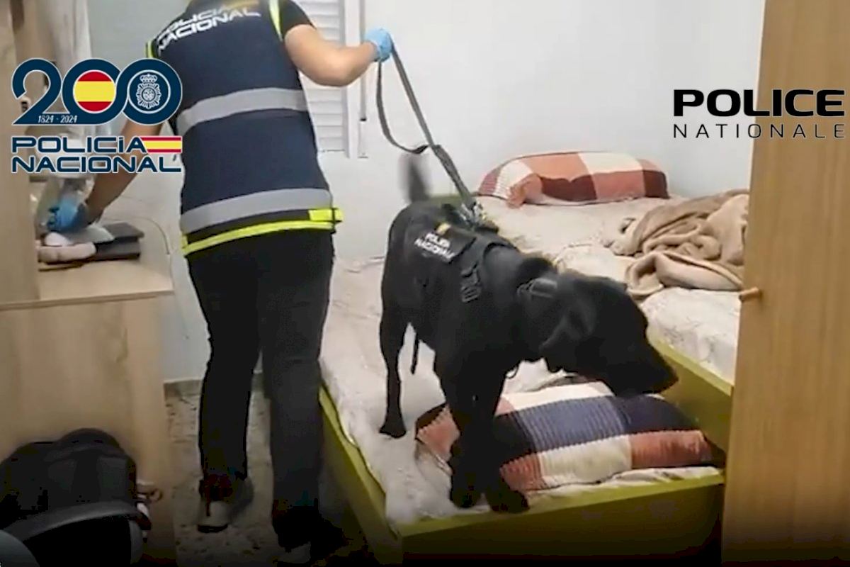 Alicante, trampolín de una banda que transportaba migrantes hasta la frontera francesa