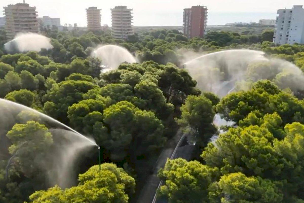 Caballero pide a la ciudadanía extremar las precauciones ante el riesgo de incendios y la alerta roja por calor