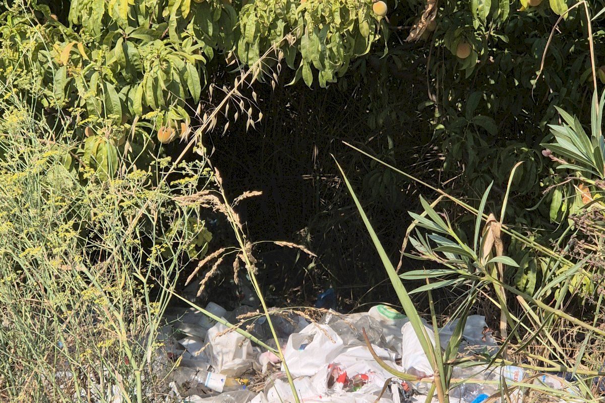 La Asociación de Vecinos Parque del Mar celebra que el Ayuntamiento de Alicante inste a ADIF a limpiar y desratizar sus terrenos