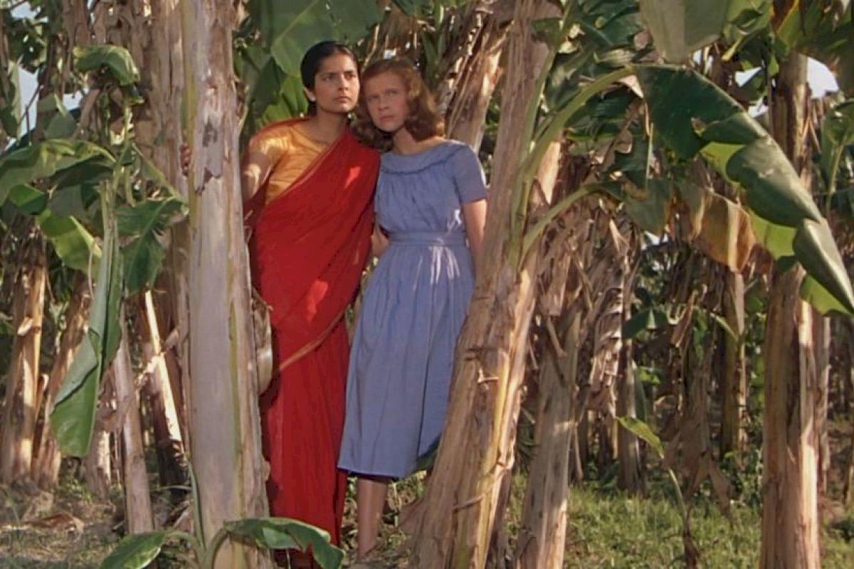 La Filmoteca d’Estiu proyecta la película ‘El río’ de Jean Renoir, y el cortometraje valenciano ‘Lleó’, de Alba Just