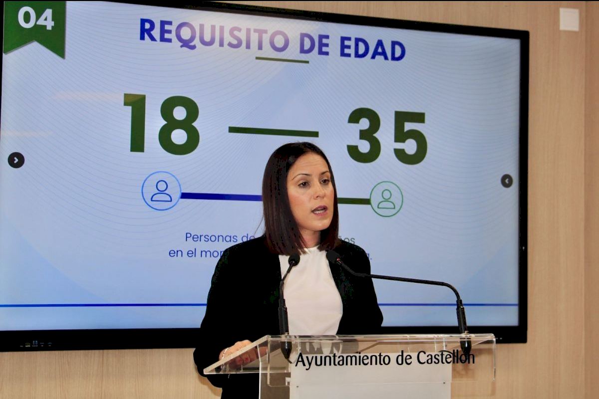 Las ayudas al alquiler joven del Ayuntamiento de Castellón alcanzan ya las 91 personas interesadas