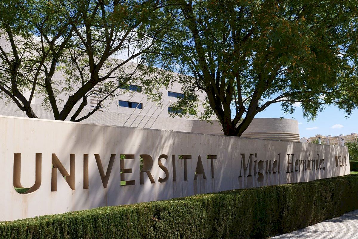 La UMH se posiciona entre las 300 mejores universidades del mundo en Salud Pública, según el Ranking de Shanghái