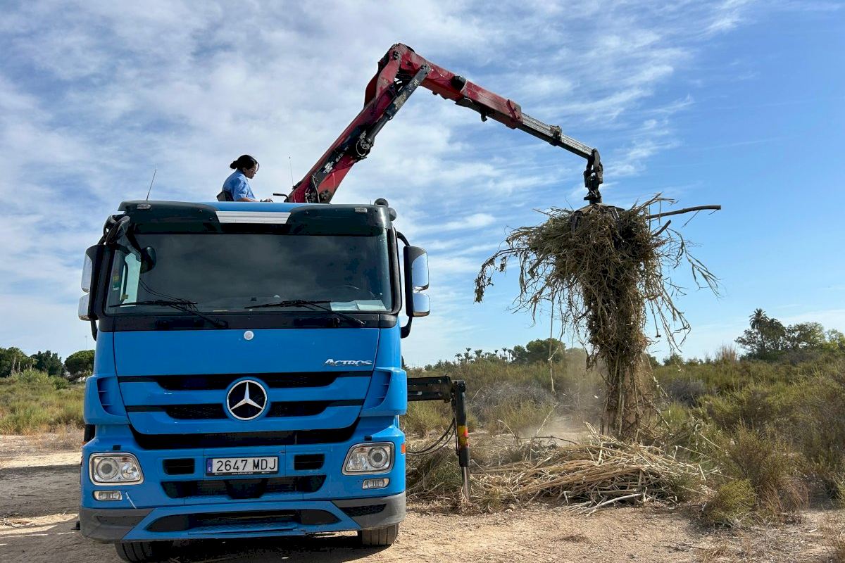Elche refuerza la limpieza de los barrancos ante posibles episodios de lluvias