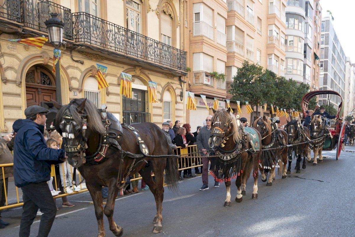 El Pleno aprueba por unanimidad solicitar que la festividad de Sant Antoni Abad de la calle Sagunt sea Fiesta de Interés Turístico Nacional