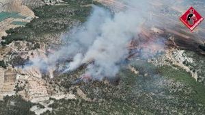 Declarado un incendio forestal en Monóvar (Alicante)