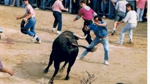 Maraya, la leyenda del bou al carrer de Burriana que encandiló con su estilo arriesgado