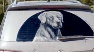 Quan un cotxe amb el vidre brut es converteix en una obra d'art