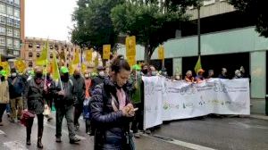 Milers d'agricultors col·lapsen València per a exigir mesures que protegisquen el camp davant la situació “crítica” que travessen