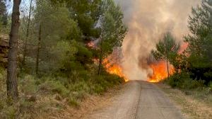 Desallotgen als veïns de Caudiel per la proximitat de l'incendi forestal
