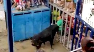 Un toro cornea a un hombre dentro del cadafal en las fiestas de Sant Pere del Grau de Castelló