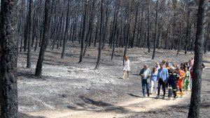 El incendio de Bejís: La imagen de la desolación