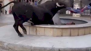 Un toro derrumba la fuente de la plaza de Bejís