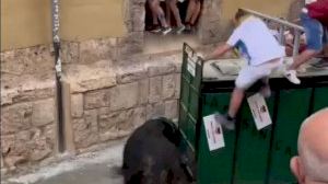 Susto en Segorbe: Un toro tira del cajón a las personas que le abrieron la puerta