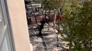Una vaquilla se escapa del recinto taurino de Benicàssim y causa alarma en las calles