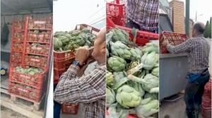 El video viral de un agricultor valenciano tirando cajas de alcachofas: “No las quieren ni baratas”