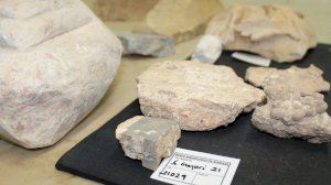 Les troballes de Sant Gregori obrin la porta al turisme històric de Borriana
