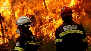 Els bombers en l'incendi de Castelló: "La nostra única obsessió és explicar-vos que ho hem pogut controlar"