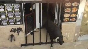 Un toro se cuela en una pizzería de Foios