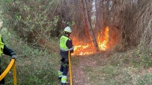 Extingit un incendi forestal amb tres focus a la Devesa de l'Albufera
