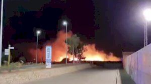 Un incendi arrassa una zona pròxima al camp de futbol de Nules