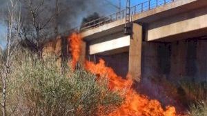 Es crema el paratge del riu Millars entre Almassora i Vila-real