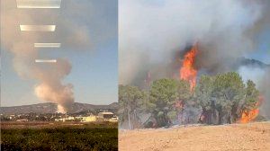 Medios aéreos y terrestres luchan contra el fuego en el incendio de Carlet